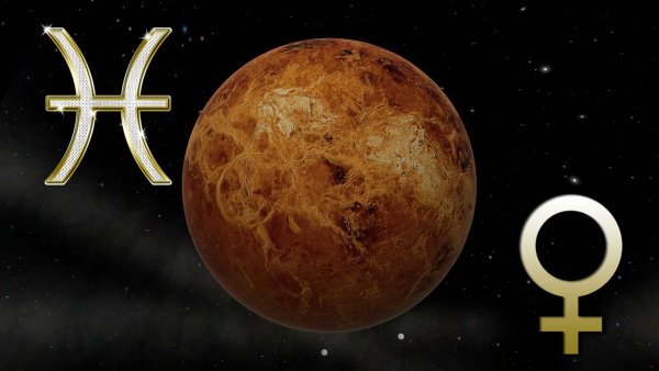 Планета Венера знак зодиака