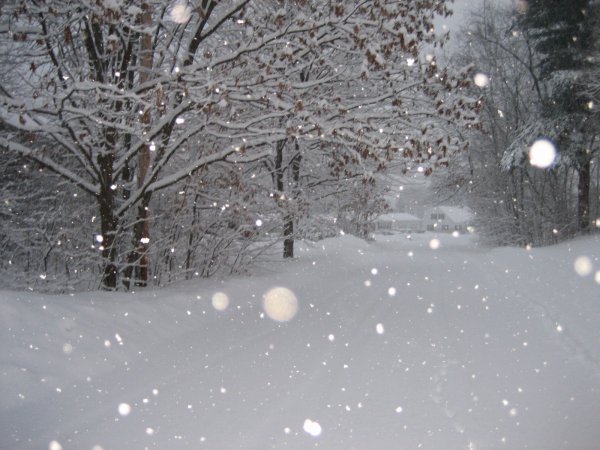 Красивый снегопад