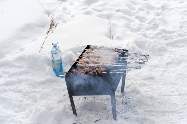Шашлык в зимнем лесу