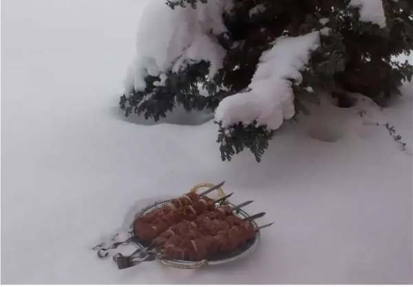 Шашлык в зимнем лесу