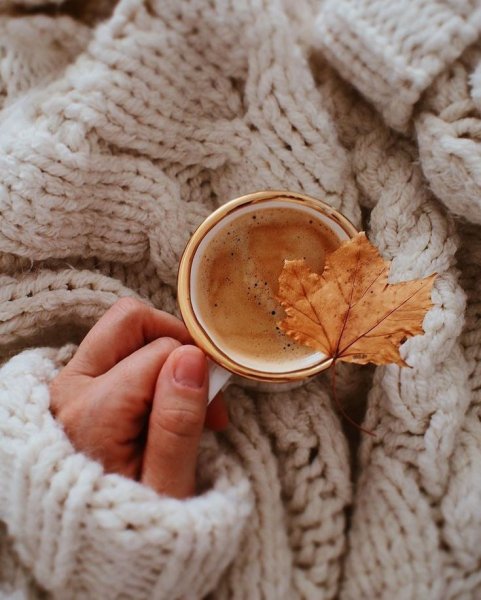 Уютная осень