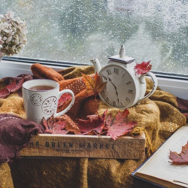 Утро осень уют