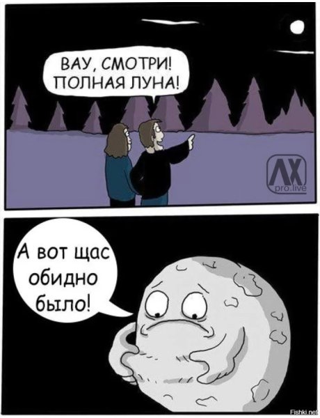 Полная Луна прикол