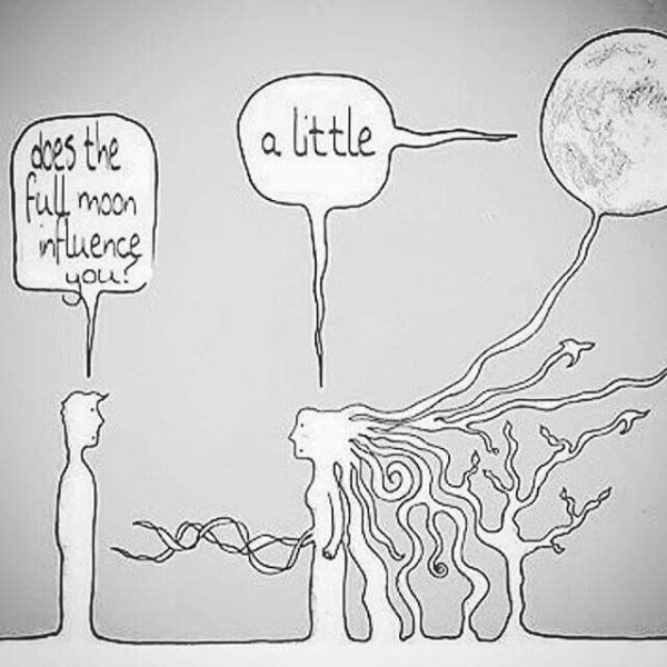 Полнолуние приколы