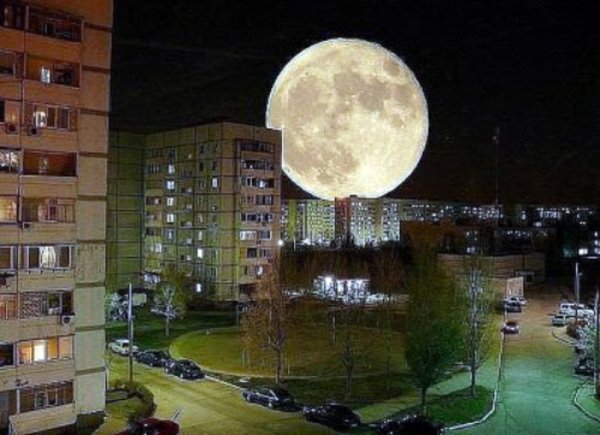 Луна прикол