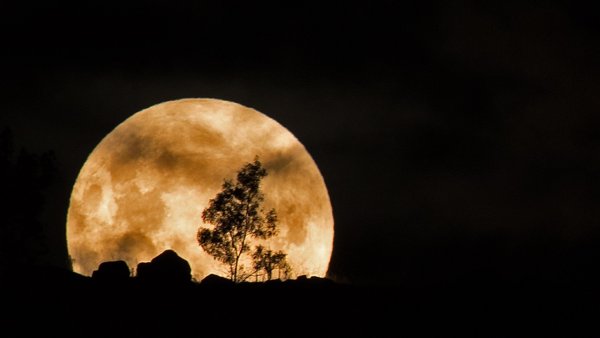 Коричневая Луна
