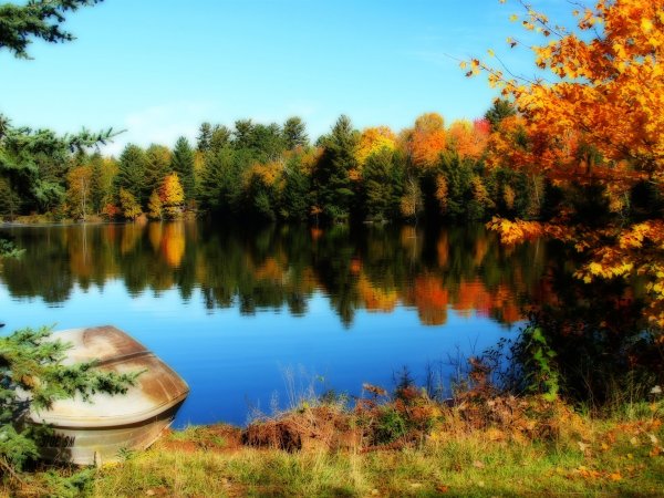 Осень лес озеро