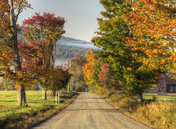 Красивая осень