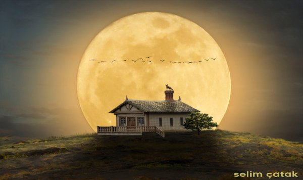 Луна над домами