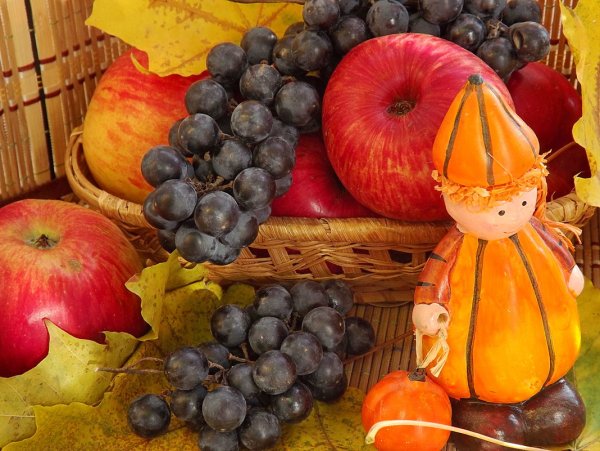 Осень дары осени