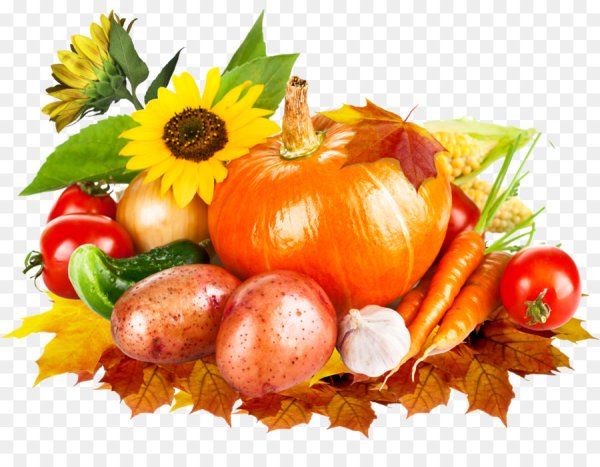 Осенние овощи