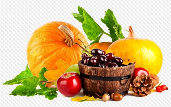 Осенние плоды