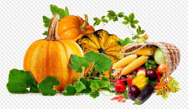 Осенние овощи на прозрачном фоне