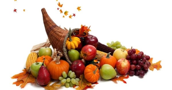 Осенние фрукты на белом фоне