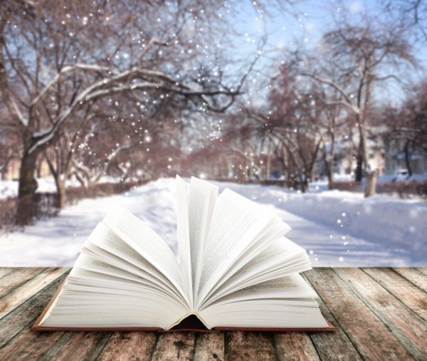 Книги зима