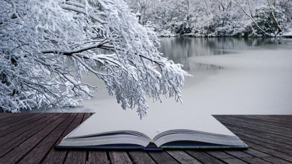 Книга на зимнем фоне
