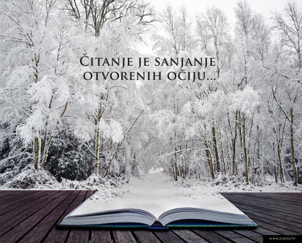 Книга на снегу