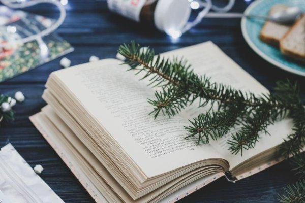 Зимняя книга