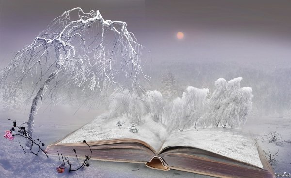 Раскрытая книга зимой