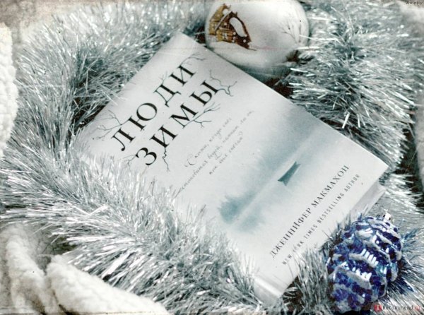 Зимняя книга