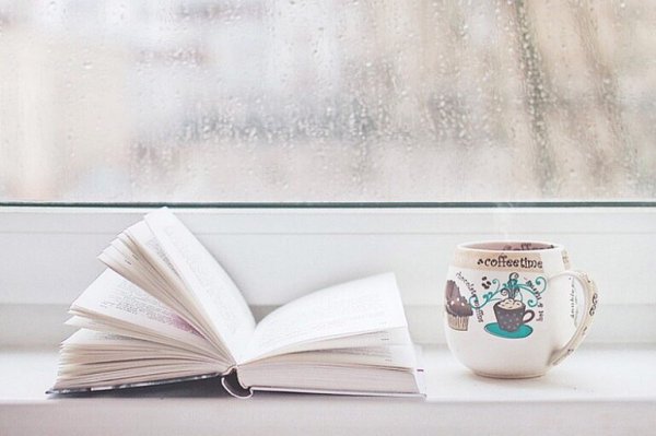 Дождь книга