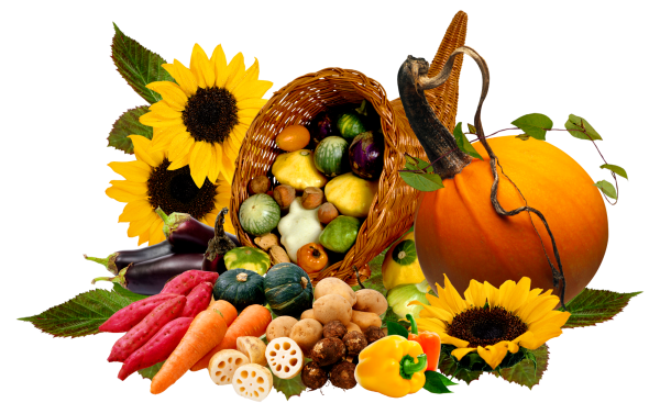 Осенняя корзина с овощами