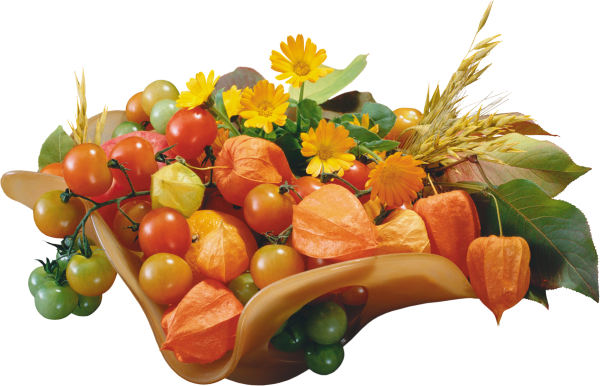 Осенний натюрморт на белом фоне