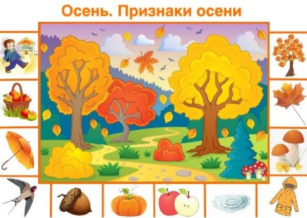 Осень признаки осени