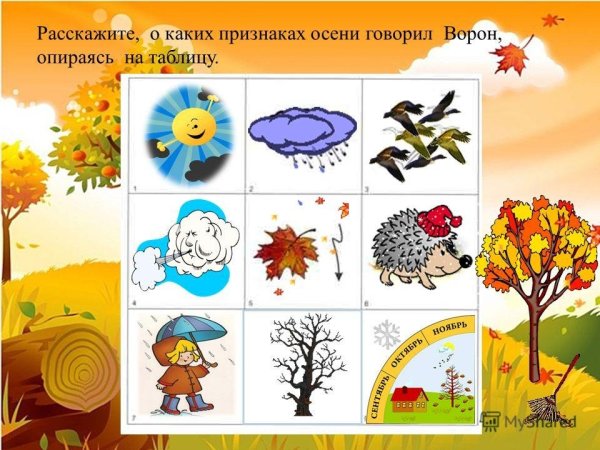 Признаки осени