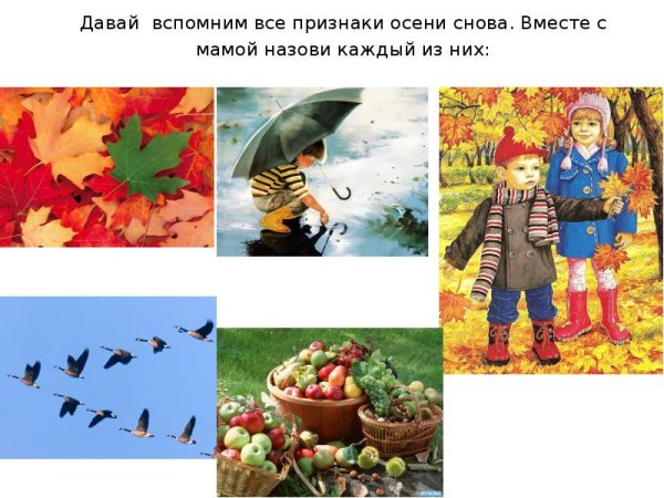 Осенние изменения для дошкольников