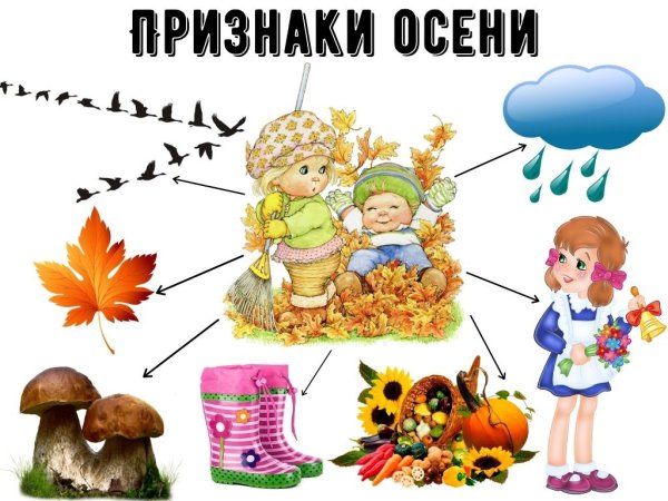Признаки осени для дошкольников