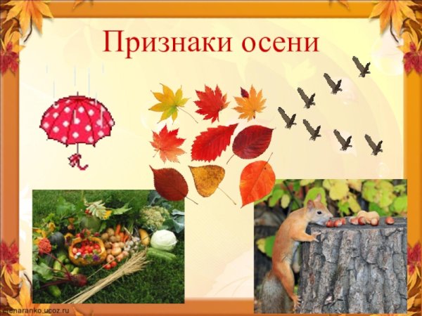 Признаки осени