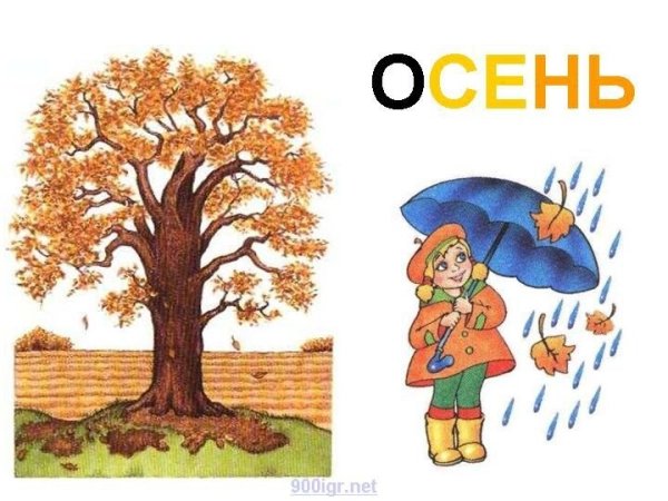Признаки осени для дошкольников