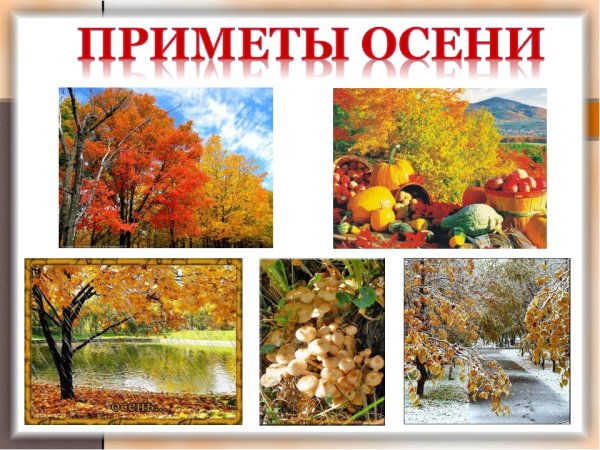 Приметы осени для дошкольников