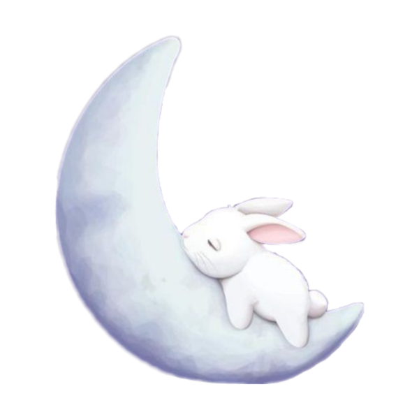 Зайчик на Луне