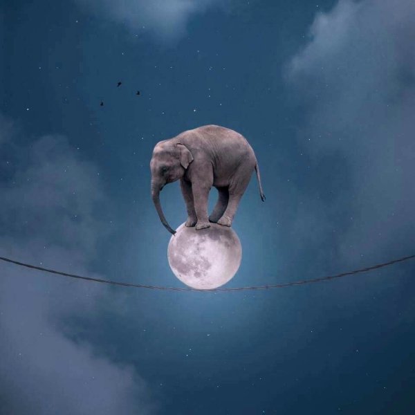 Летающие слоны