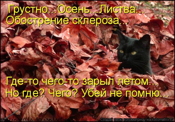 Осень обострение