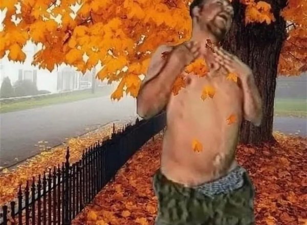 Мужик в листьях