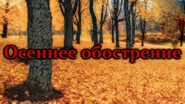 Шуточное про осенние обострения