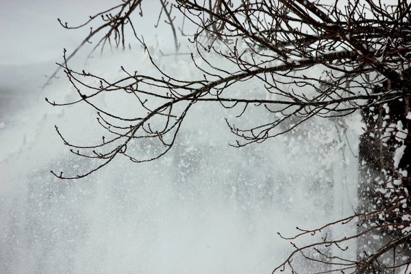 Зима ветер метель