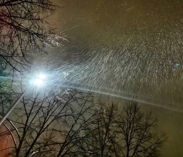 Сильный ветер дождь со снегом