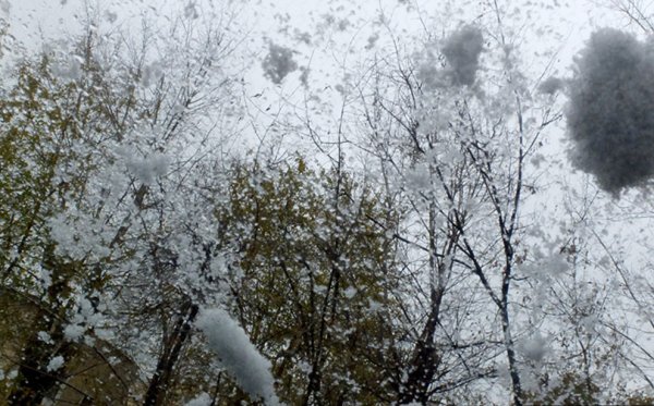 Сильная метель со снегом и ветром