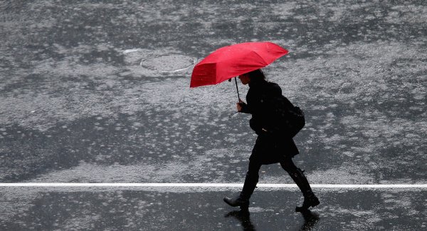 Ливень и ветер