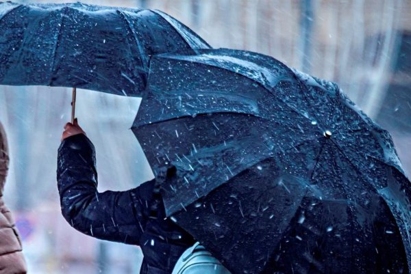 Дождливая погода