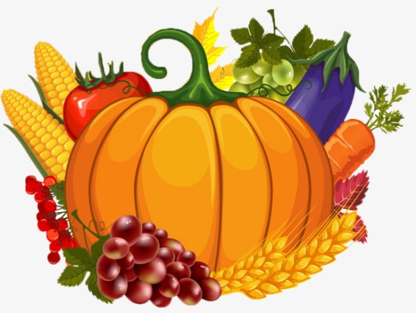 Осенние фрукты для детей