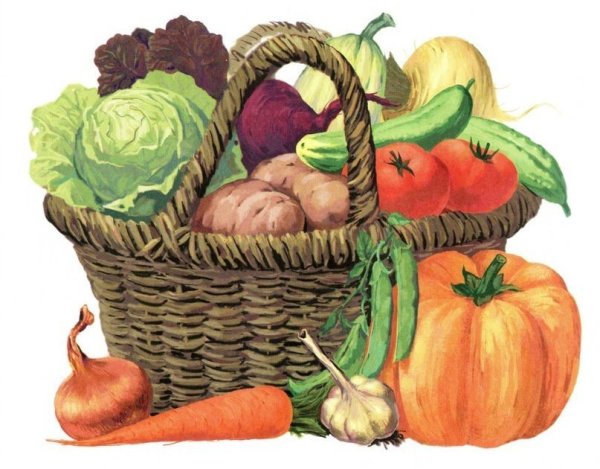 Корзинка с овощами
