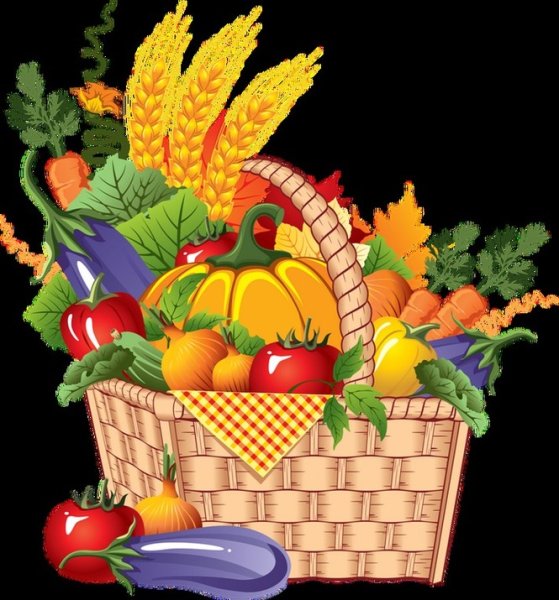 Корзина с урожаем
