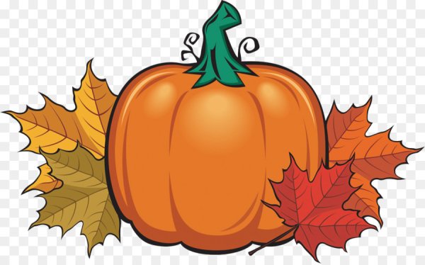 Тыквы мультяшные осенние