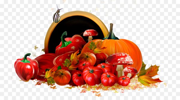 Осенние овощи и фрукты