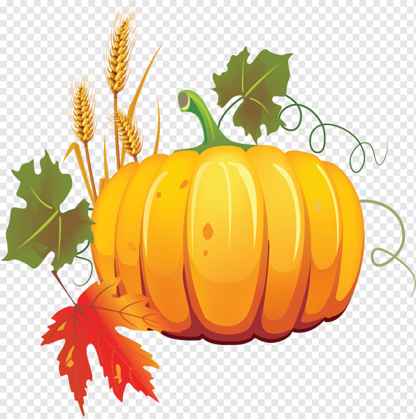 Тыква на прозрачном фоне
